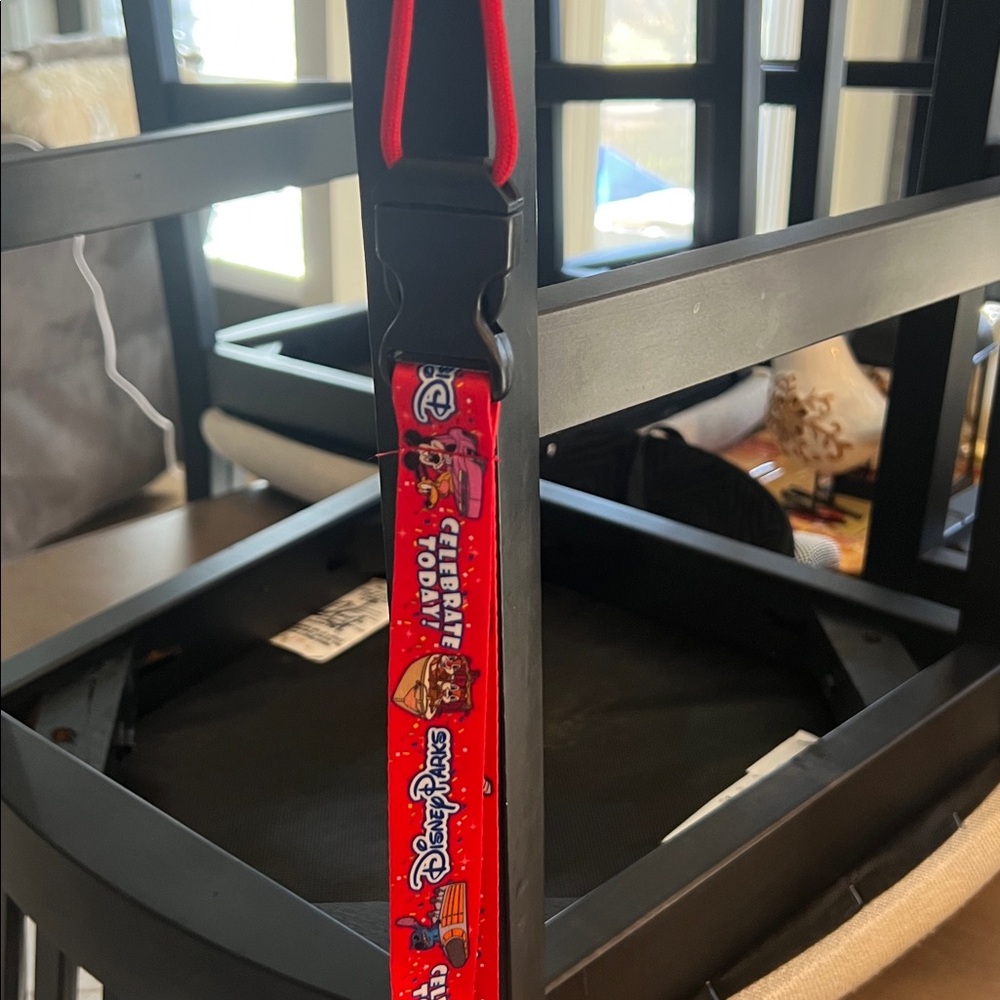 NWOT DISNEY PARKS Character Lanyard